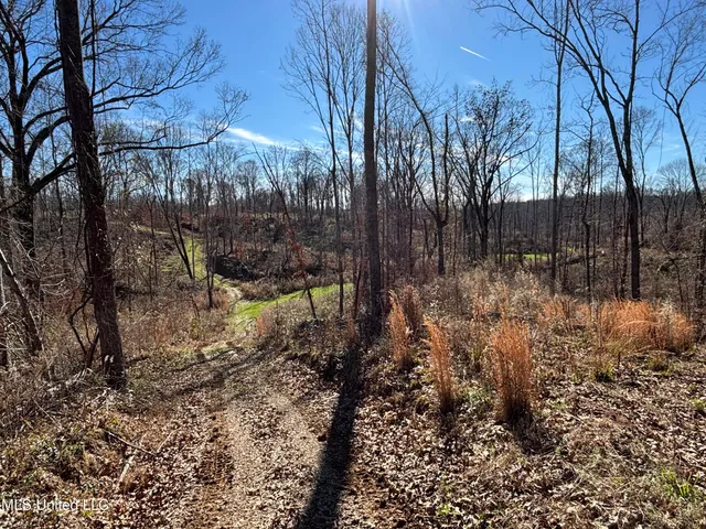 $569,000 | 2822 Stevens Road, Yazoo City, MS 39194