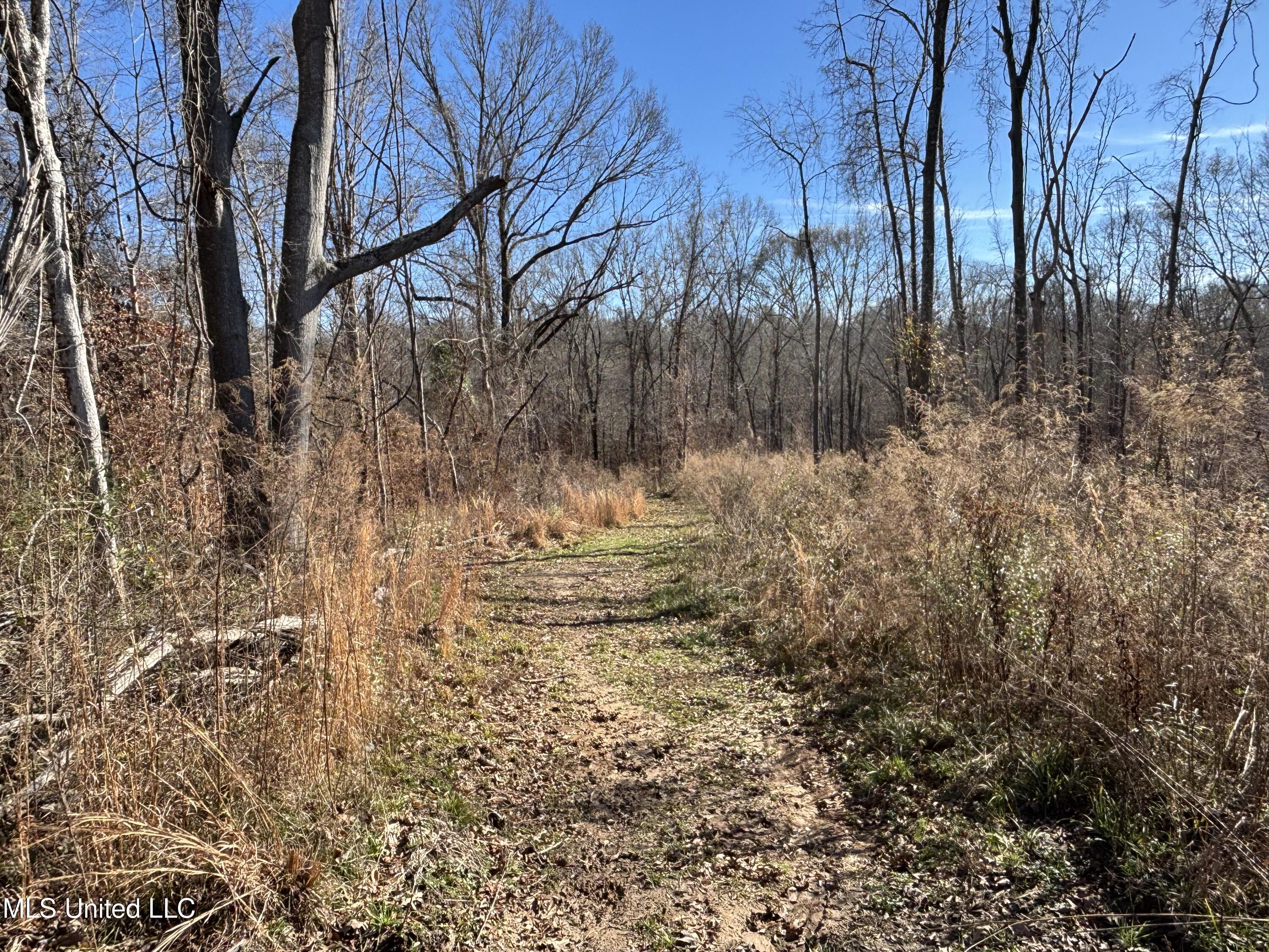 2822 Stevens Road Yazoo City, MS 39194 - Photo 23 of 80 IMG_2236