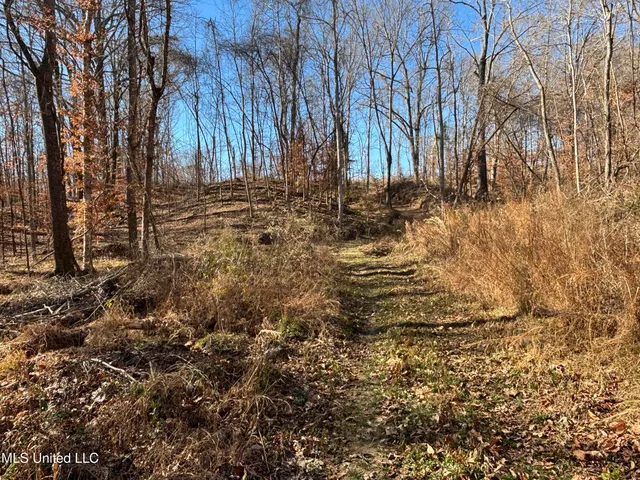 $569,000 | 2822 Stevens Road, Yazoo City, MS 39194