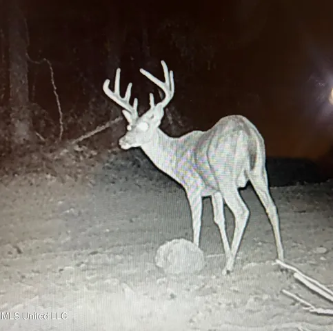 $569,000 | 2822 Stevens Road, Yazoo City, MS 39194