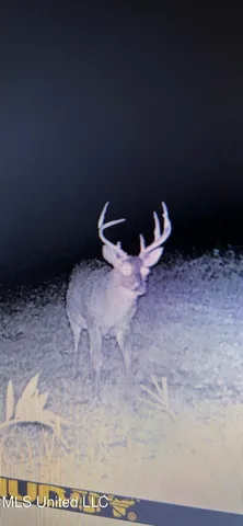 $569,000 | 2822 Stevens Road, Yazoo City, MS 39194