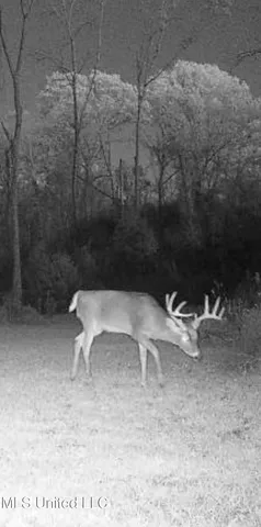 $569,000 | 2822 Stevens Road, Yazoo City, MS 39194