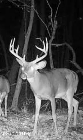 $569,000 | 2822 Stevens Road, Yazoo City, MS 39194