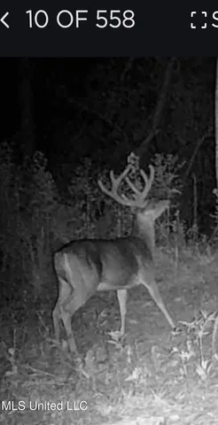 $569,000 | 2822 Stevens Road, Yazoo City, MS 39194