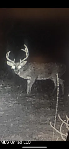 $569,000 | 2822 Stevens Road, Yazoo City, MS 39194