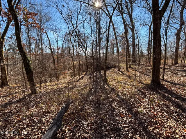 $569,000 | 2822 Stevens Road, Yazoo City, MS 39194