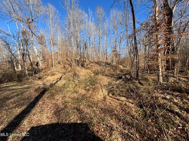 $569,000 | 2822 Stevens Road, Yazoo City, MS 39194