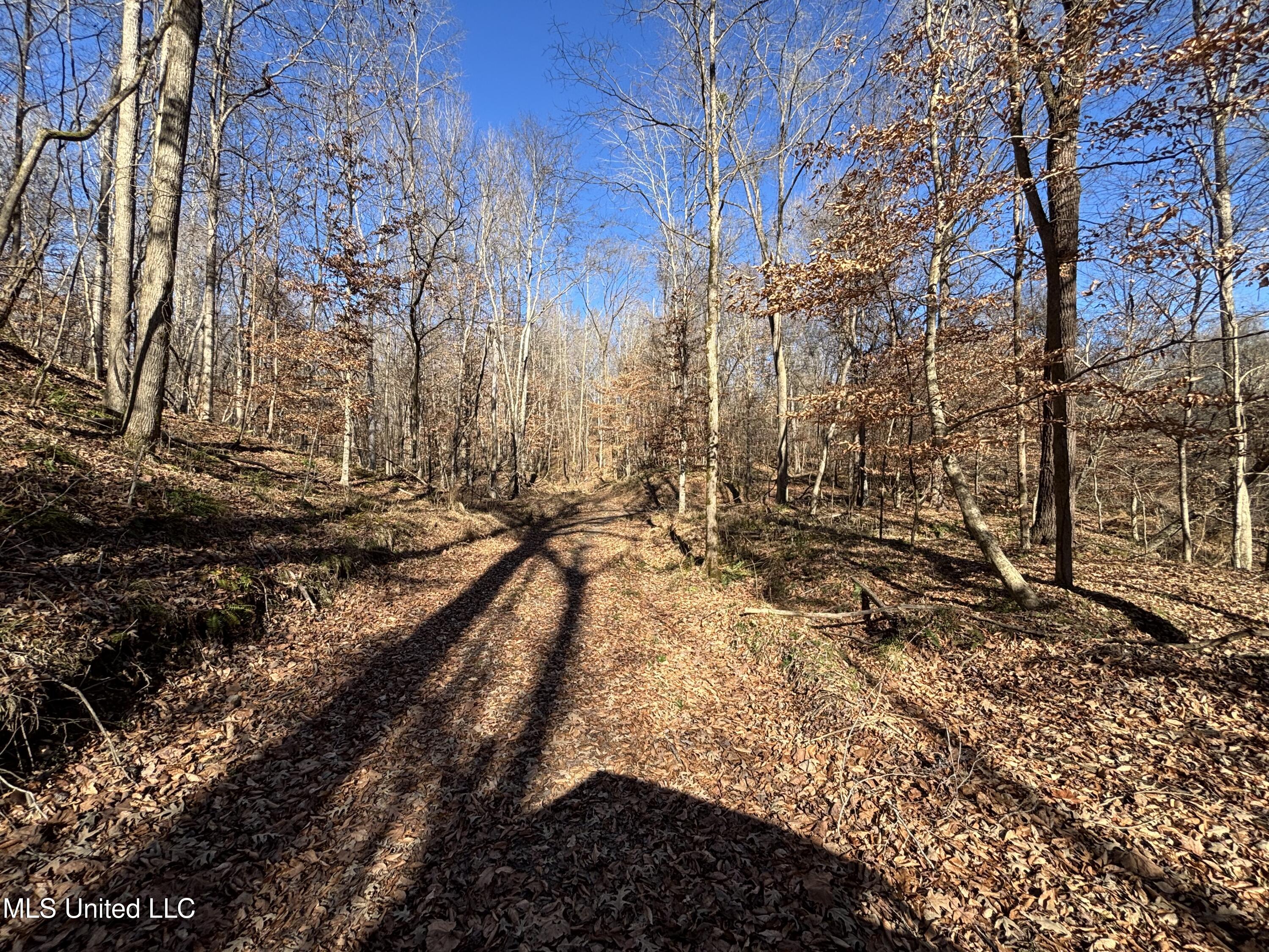2822 Stevens Road Yazoo City, MS 39194 - Photo 69 of 80 IMG_2241