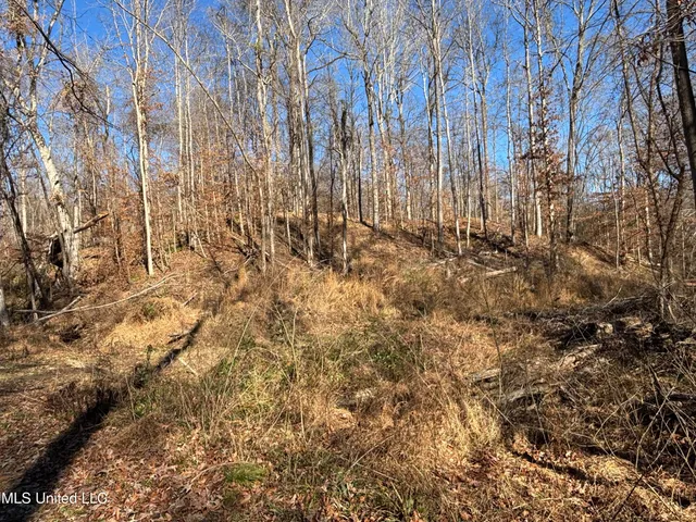 $569,000 | 2822 Stevens Road, Yazoo City, MS 39194