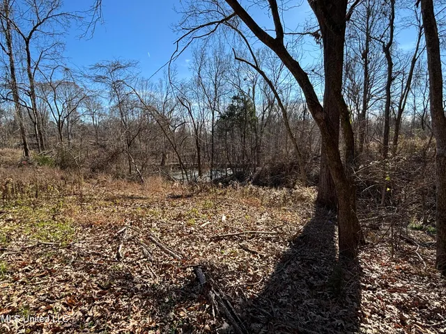 $569,000 | 2822 Stevens Road, Yazoo City, MS 39194