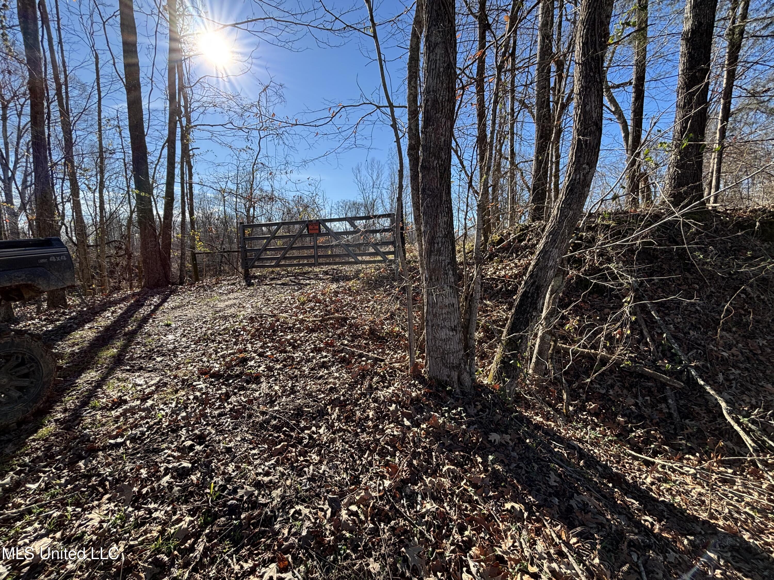 2822 Stevens Road Yazoo City, MS 39194 - Photo 77 of 80 IMG_2263