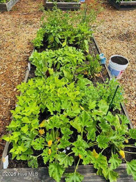 3781 Hallmark Road Northeast Leland, NC 28451 - Photo 34 of 40 Garden3