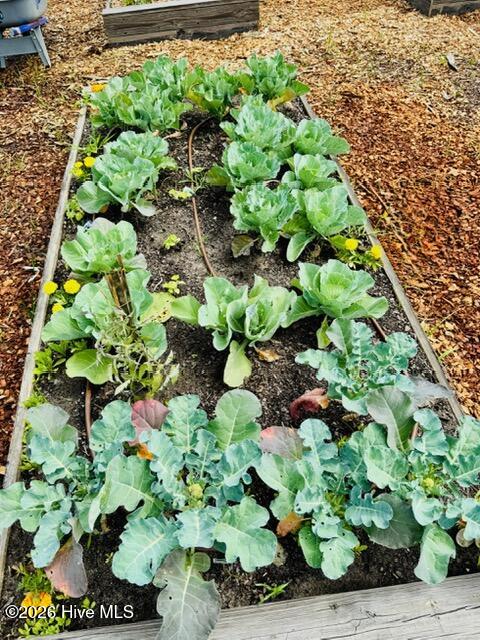 3781 Hallmark Road Northeast Leland, NC 28451 - Photo 35 of 40 Garden4