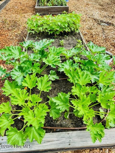 3781 Hallmark Road Northeast Leland, NC 28451 - Photo 36 of 40 Garden5