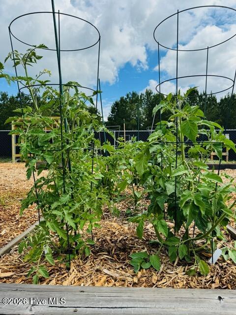 3781 Hallmark Road Northeast Leland, NC 28451 - Photo 37 of 40 Garden6