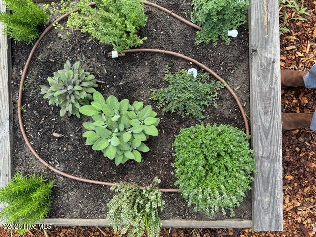 3781 Hallmark Road Northeast Leland, NC 28451 - Photo 38 of 40 Garden7