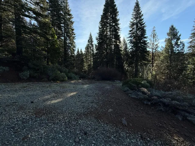 a view of outdoor space and yard