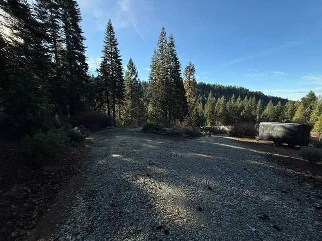 a view of backyard with green space