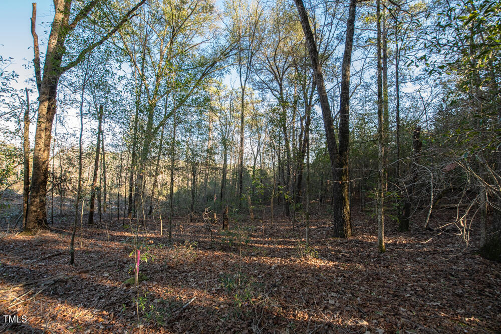 0 Yarborough Road Hope Mills, NC 28348 - Photo 4 of 18 Wessell Drone MLS-5117