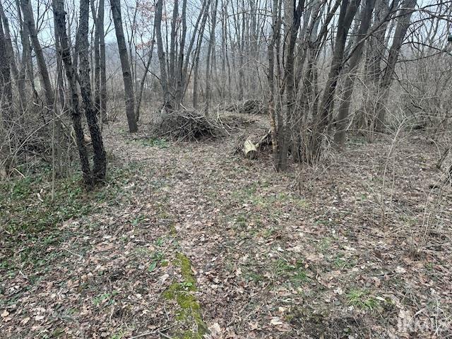 55131 Pear Road South Bend, IN 46628 - Photo 22 of 29