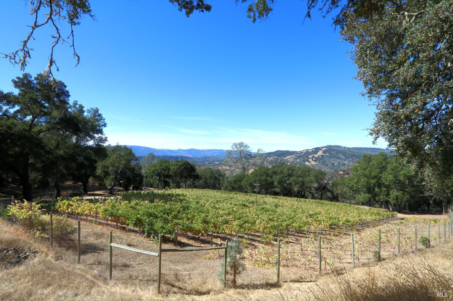 0 Hennessey Ridge Road St. Helena, CA 94574 - Photo 8 of 23 a view of a backyard