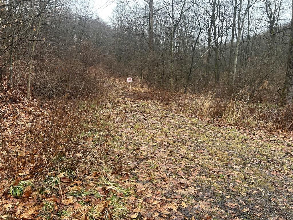 0 Nye Road Portersville, PA 16051 - Photo 3 of 12 a view of a yard with trees in front of it