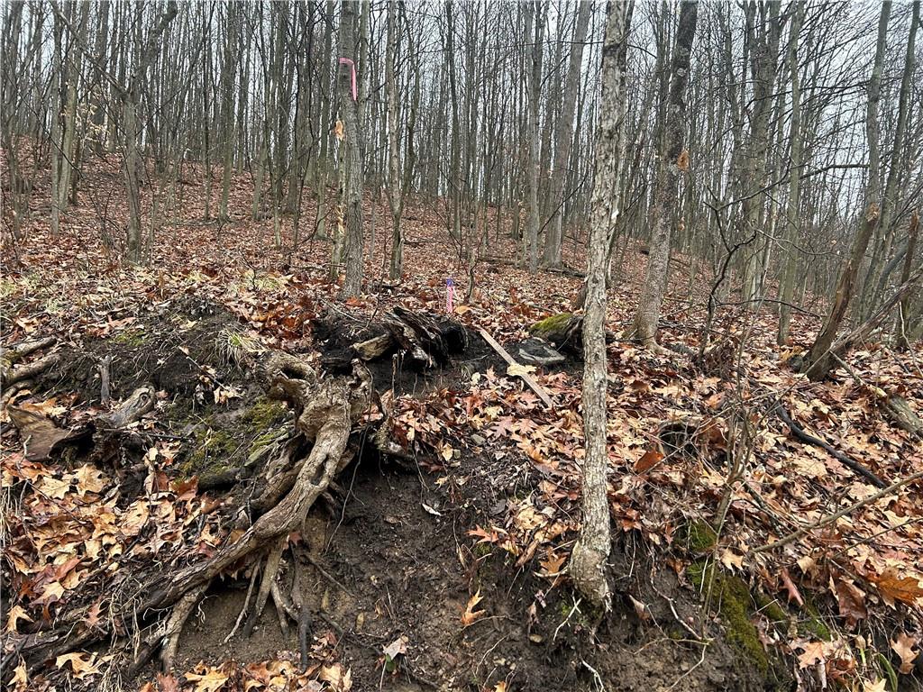 0 Nye Road Portersville, PA 16051 - Photo 4 of 12 a view of outdoor space and covered with trees