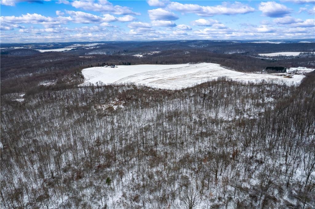 0 Nye Road Portersville, PA 16051 - Photo 6 of 12 a view of outside space