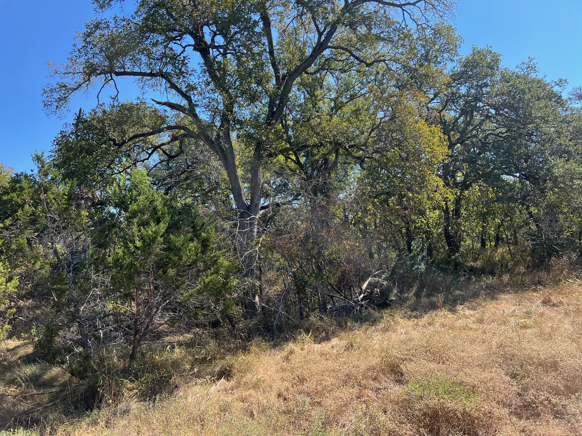 Tbd Narrows Road Blanco, TX 78606 - Photo 16 of 18 river lot