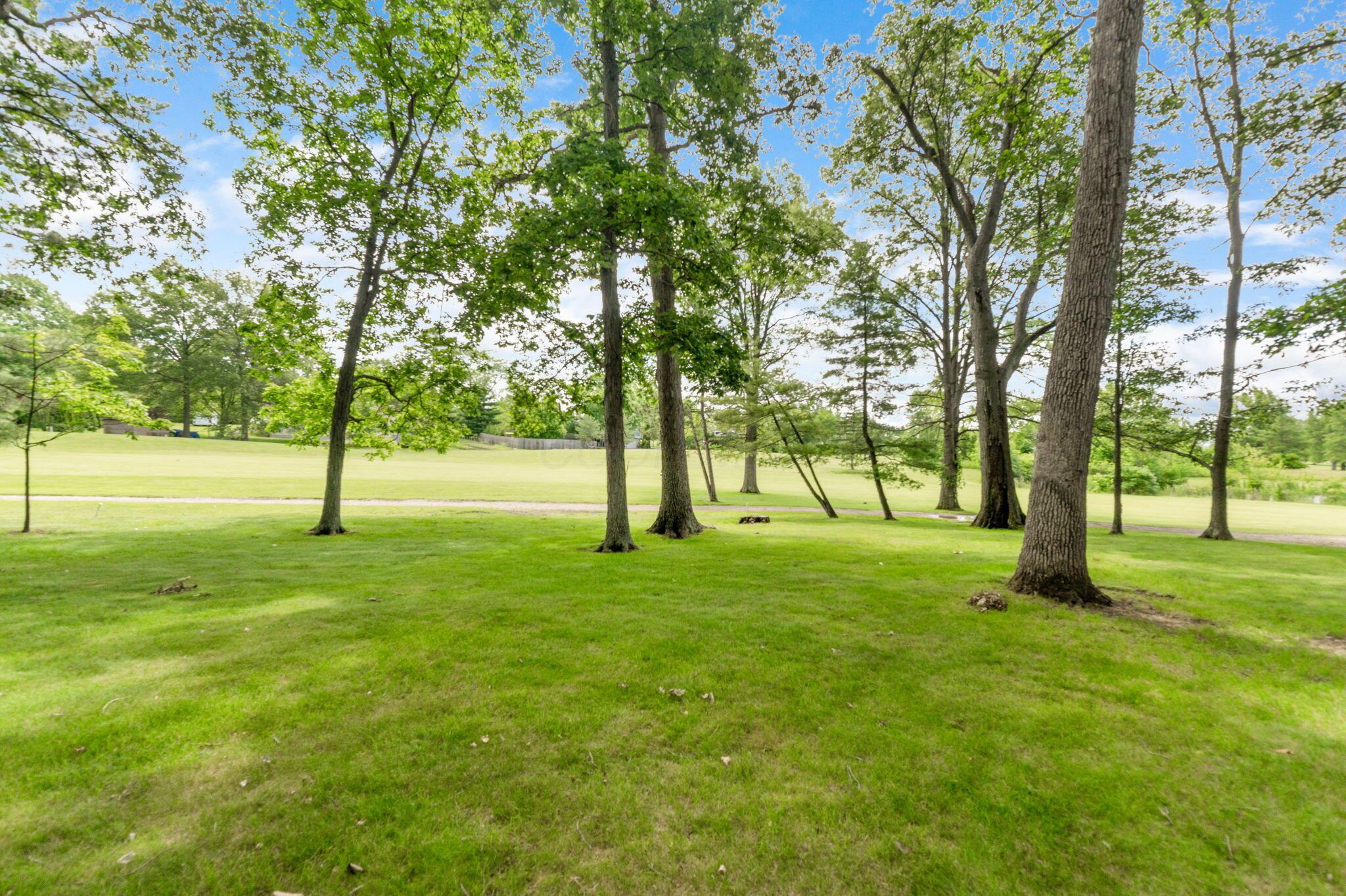18169 Timber Trails Road Marysville, OH 43040 - Photo 42 of 43 18169 Timber Trails (Exterior)-29