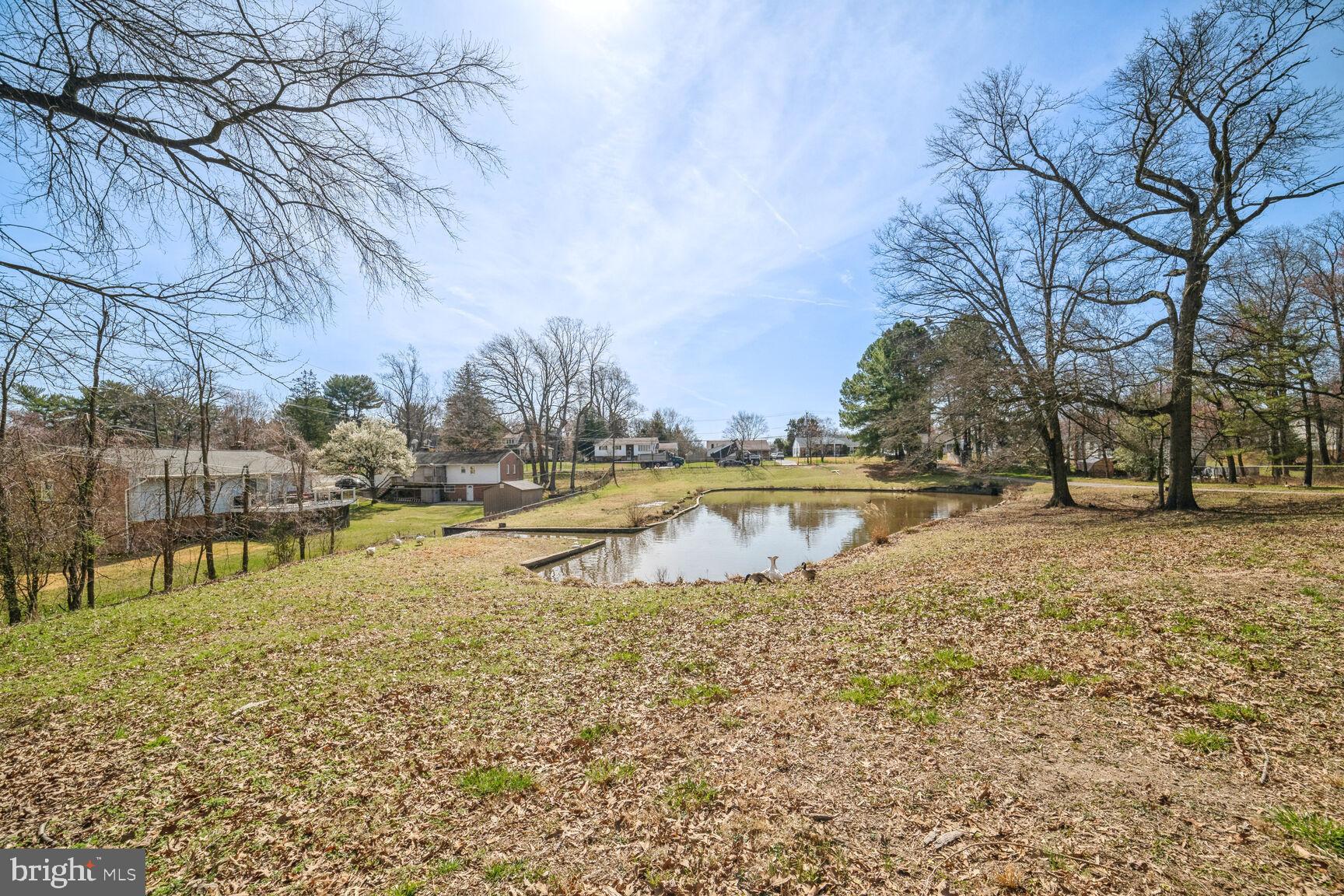 15706 Bond Mill Road Laurel, MD 20707 - Photo 8 of 25 Pond on property