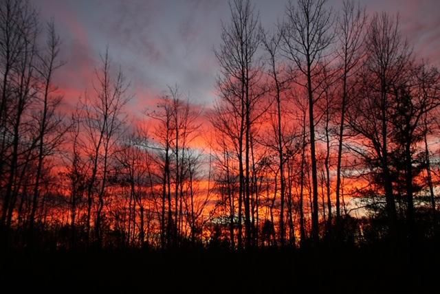1114 North Black River Road Cheboygan, MI 49721 - Photo 51 of 63 Gallery Image 51