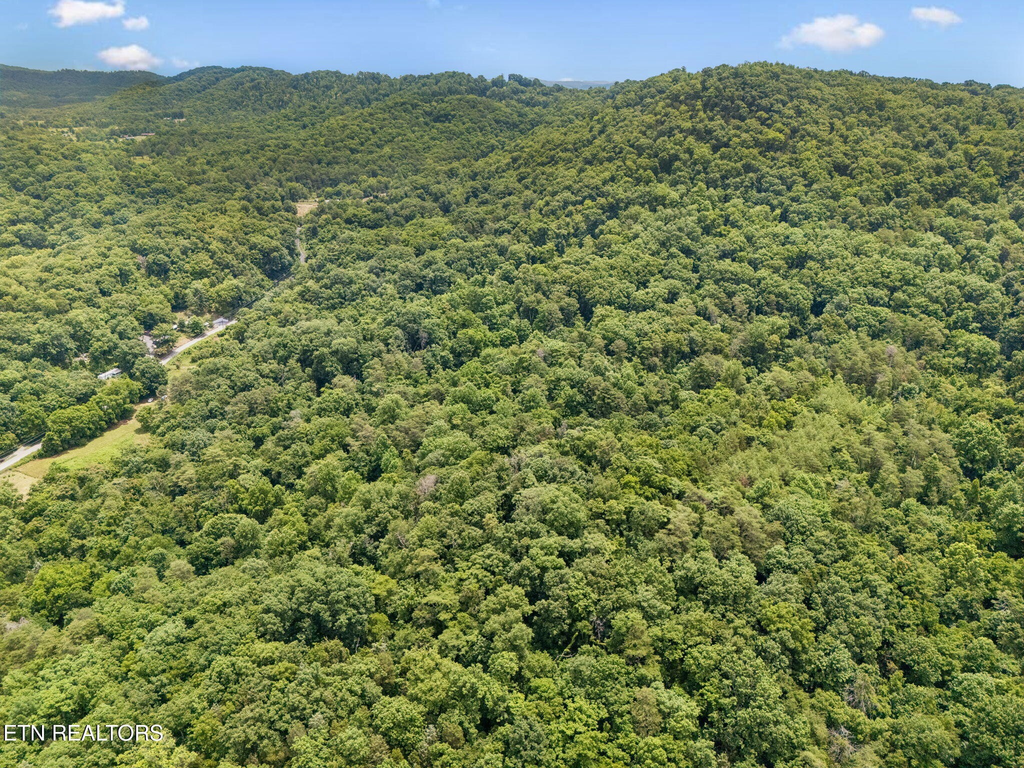 0 Knob Road Rutledge, TN 37861 - Photo 33 of 46