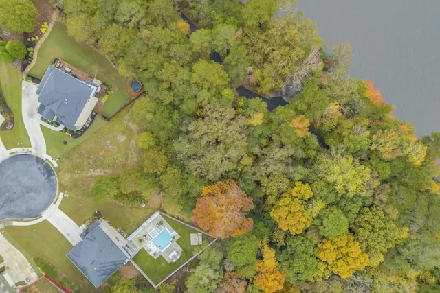 a view of a garden with an outdoor space