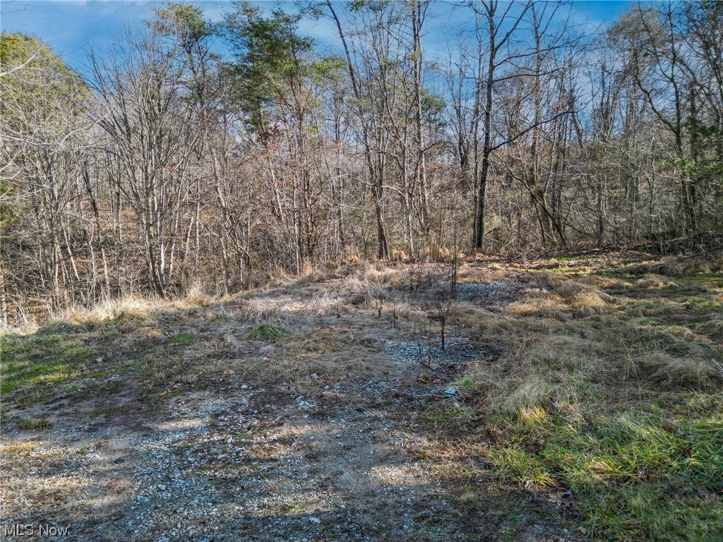 692 Tick Ridge Road Vincent, OH 45784 - Photo 32 of 40 View of nature