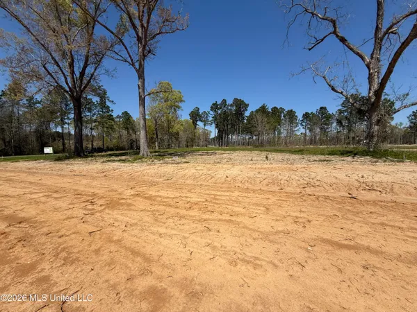 $34,900 | Lot 1 Oakley Lane, Lucedale, MS 39452