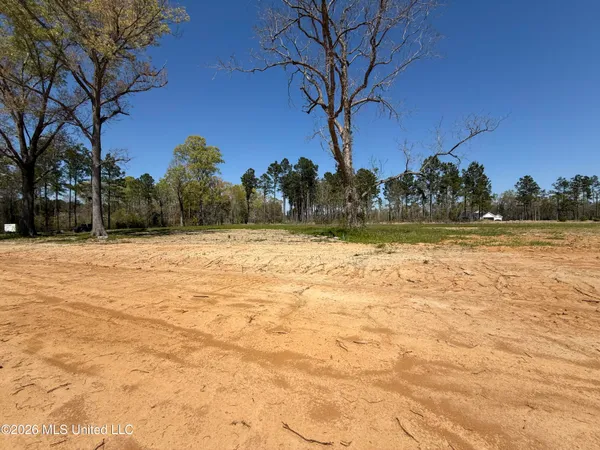 $34,900 | Lot 1 Oakley Lane, Lucedale, MS 39452