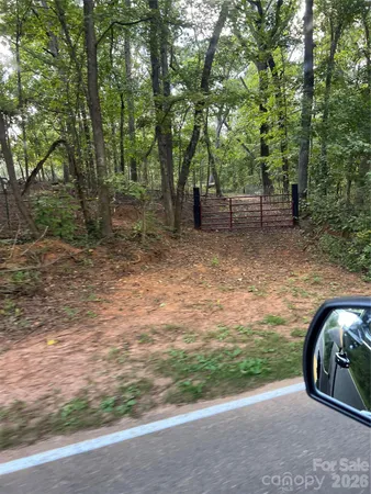 a view of a yard with large trees
