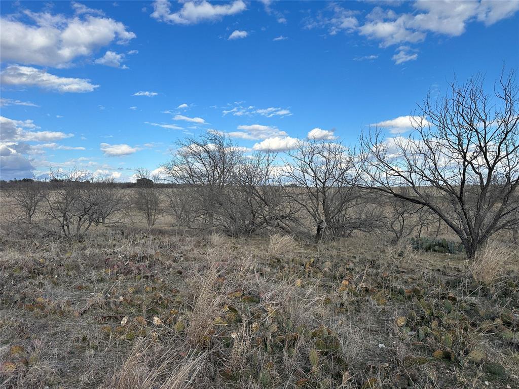 116 Comanche Lake Road Comanche, TX 76442 - Photo 4 of 23 a view of a house with a yard