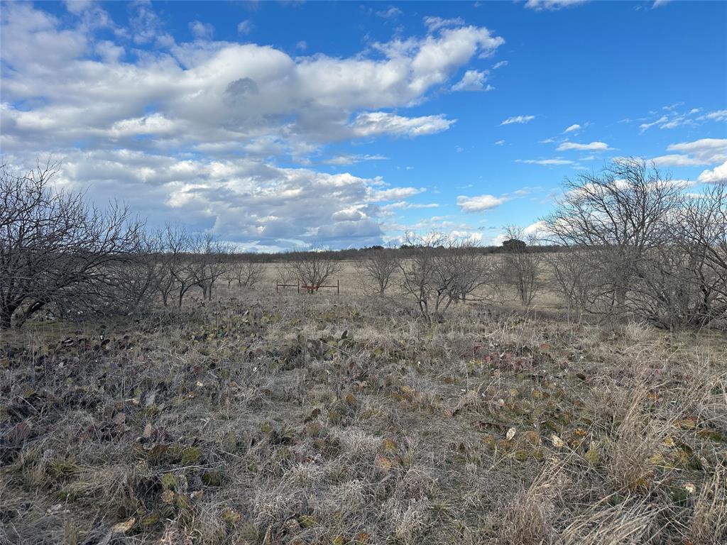 116 Comanche Lake Road Comanche, TX 76442 - Photo 5 of 23 a view of a yard
