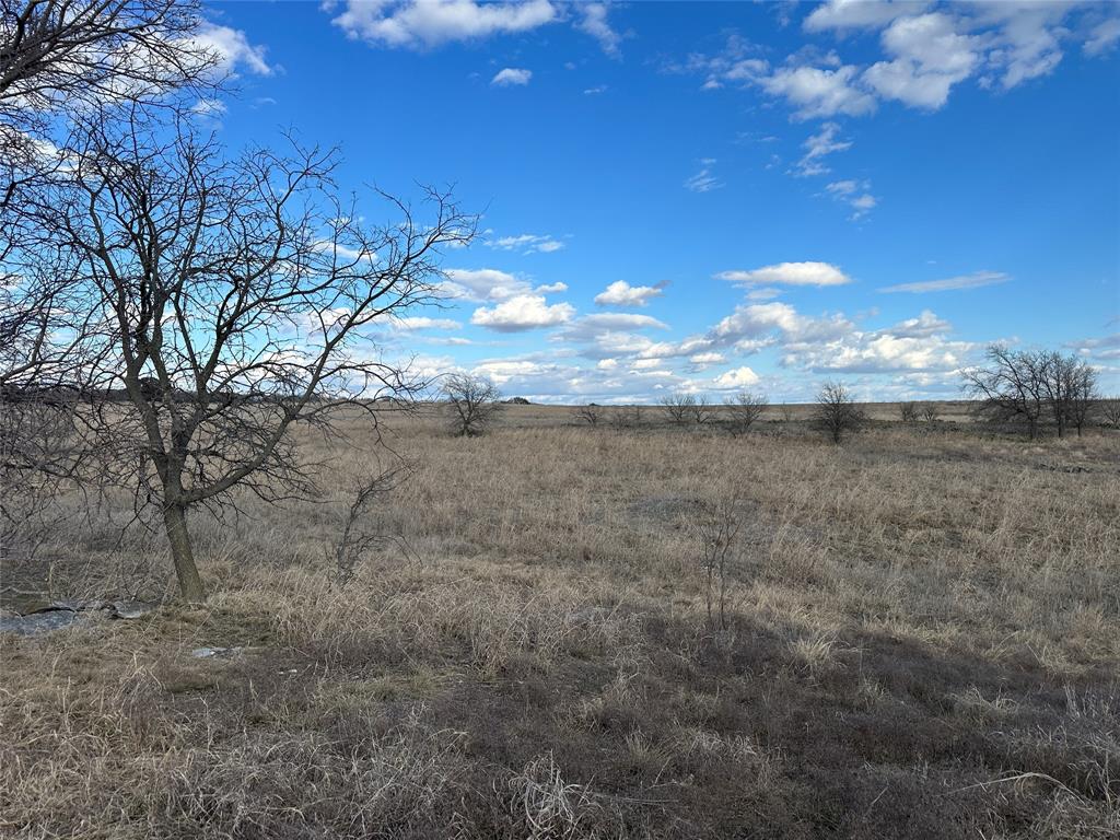 116 Comanche Lake Road Comanche, TX 76442 - Photo 7 of 23 a view of a yard in a yard
