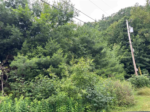 $399,000 | 9 Rydon Acres, Brandon, VT 05733