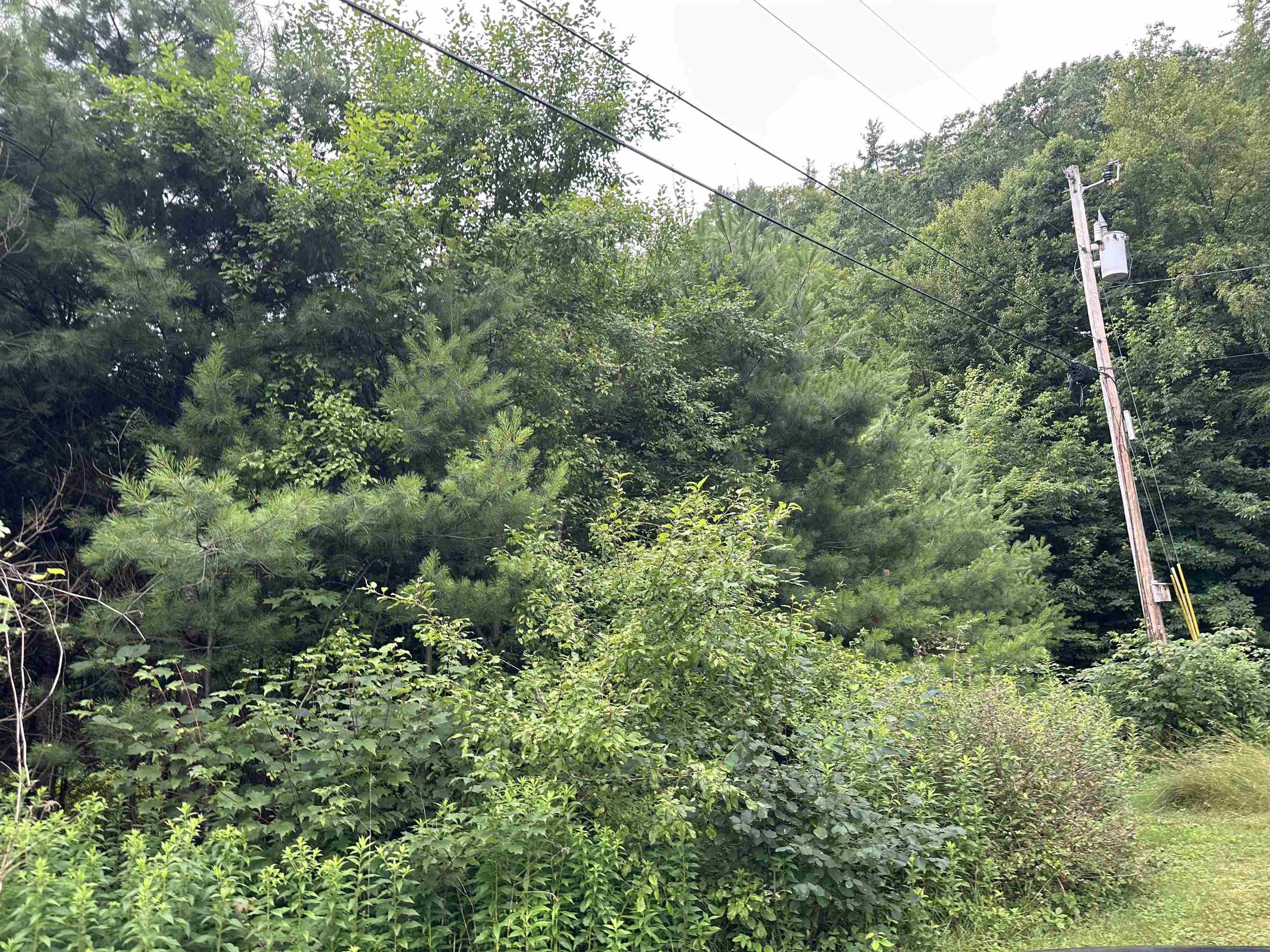 9 Rydon Acres Brandon, VT 05733 - Photo 4 of 6