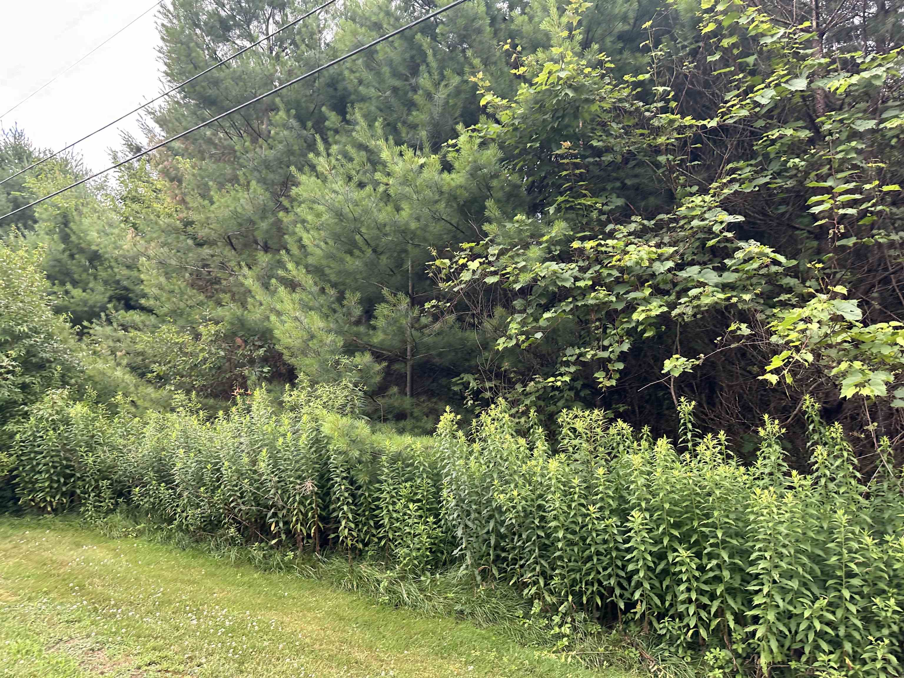 9 Rydon Acres Brandon, VT 05733 - Photo 5 of 6