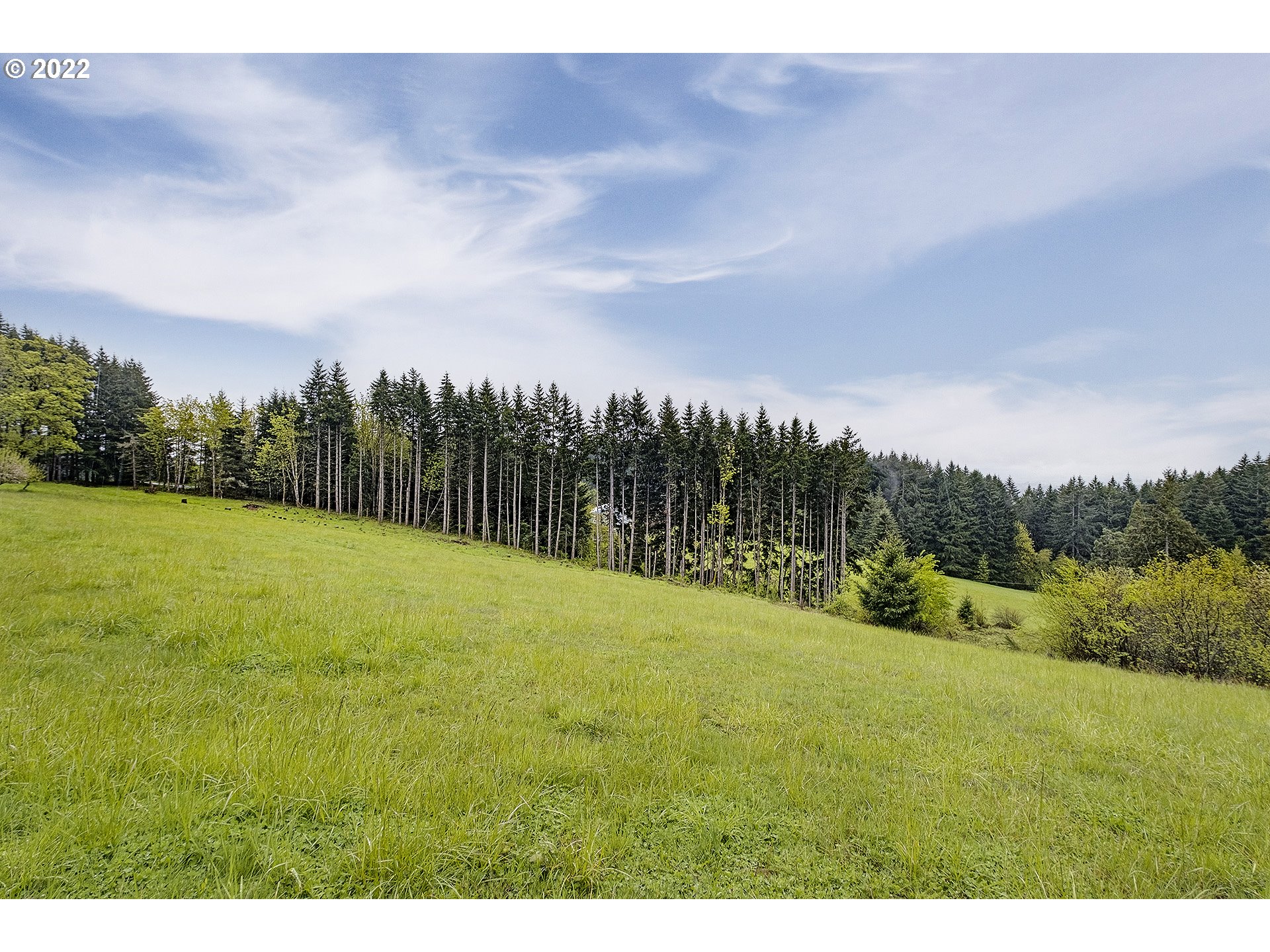 21129 Northwest Pumpkin Ridge Road North Plains, OR 97133 - Photo 24 of 27 Gallery Image 24