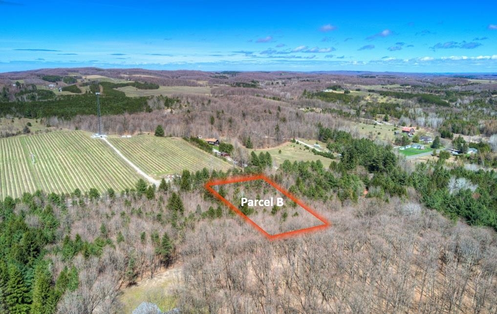 Parcel B East Bodus Road Cedar, MI 49621 - Photo 2 of 10