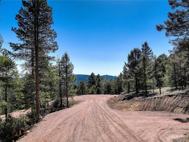 a view of a outdoor space with trees all around