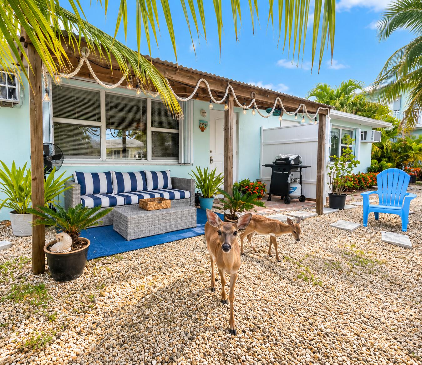 1455 Sunset Road Big Pine Key, FL 33043 - Photo 7 of 29 PATIO