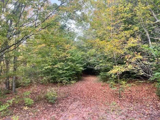 $355,000 | Nine 9 Mile Road, Kaleva, MI 49645