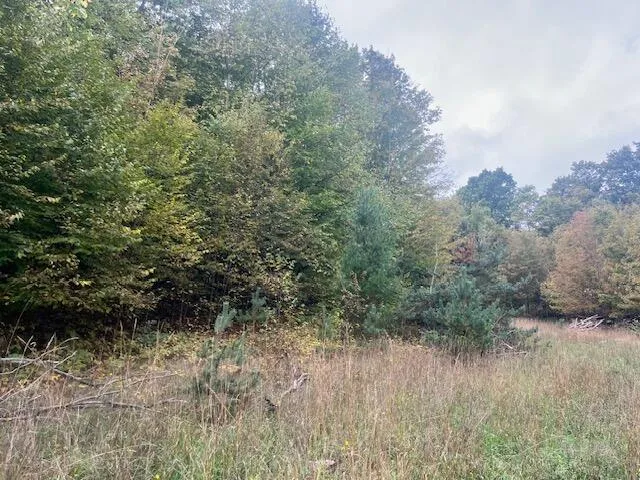 $355,000 | Nine 9 Mile Road, Kaleva, MI 49645